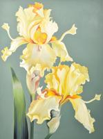 Large Lowell Nesbitt Iris Painting, 75H - Sold for $14,080 on 12-03-2022 (Lot 911).jpg